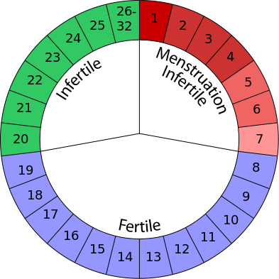 Un gráfico circular que muestra los días 1 a 7 como menstruación infértil, los días 8 a 19 como fértil y los días 20 a 26 a 32 como infértil