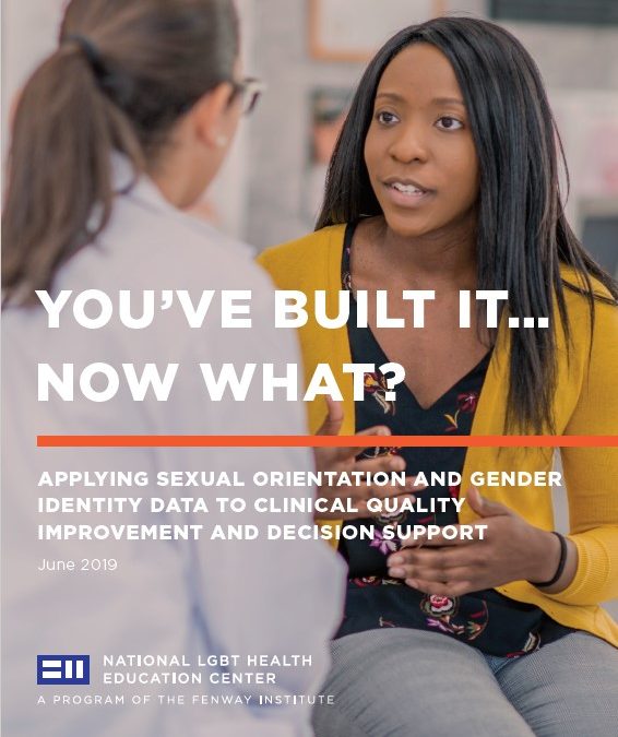 You’ve Built It…Now What? Applying Sexual Orientation and Gender Identity Data to Clinical Quality Improvement and Decision Support (National LGBT Health Education Center)