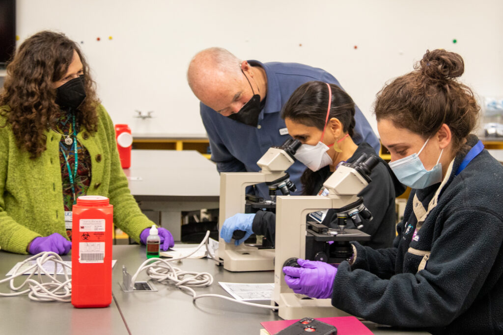 2 instructors and 2 learners looking into microscopes