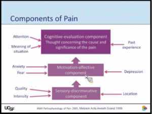 slide from webinar: components of pain