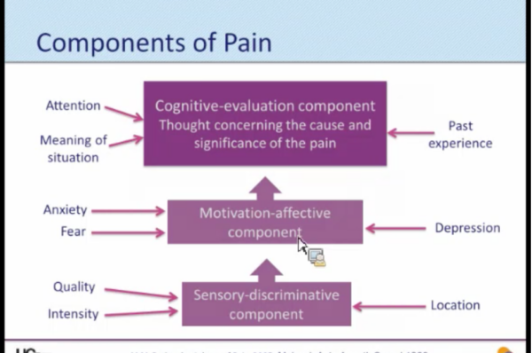 slide from webinar: components of pain