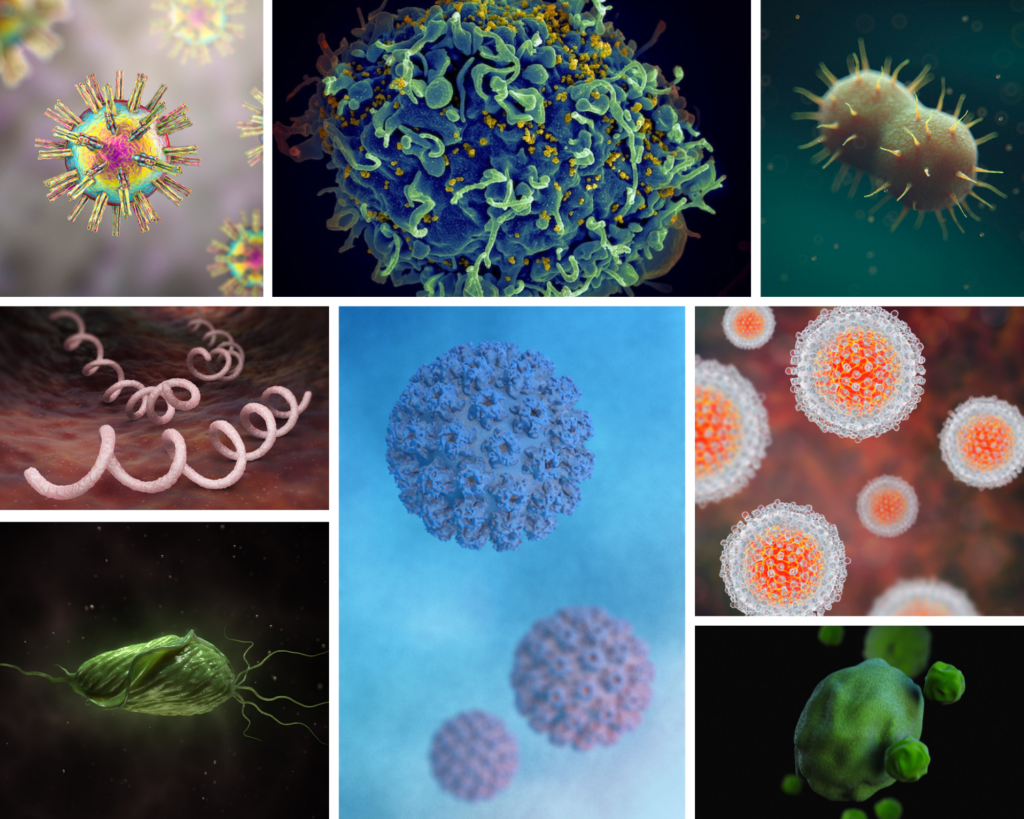 various microscopic images of pathogens