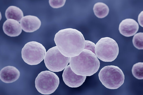 Mycoplasma bacteria illustration